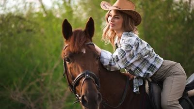 Learn About Horse Cribbers