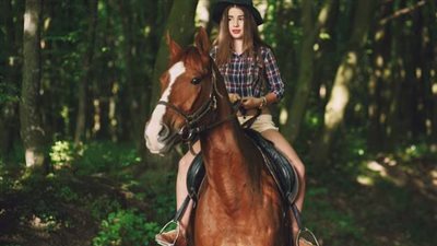 Tennessee Walking Horse: Breed Profile