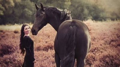 Thoroughbred Horse: Breed Profile