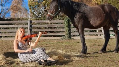 Is there any evidence that horses respond to music?