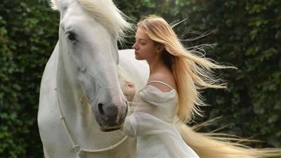 Eye disease in horses – when is referral needed?