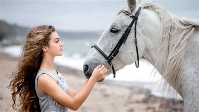 Why does my horse nudge me?