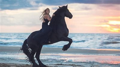  Is protein heating in horse feed?