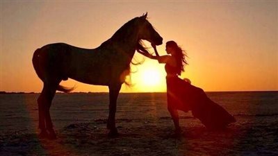 Is there pet insurance for horses?