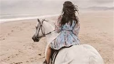 Is shooting the kindest way to euthanise horses?