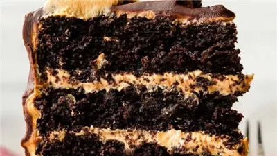 Dark Chocolate Peanut Butter Cake