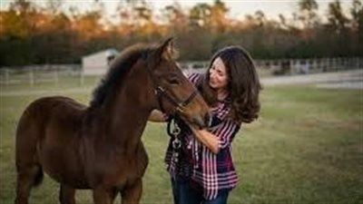 What is PSSM in horses?