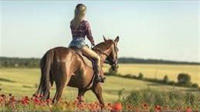 for keeping your horse cool this summer
