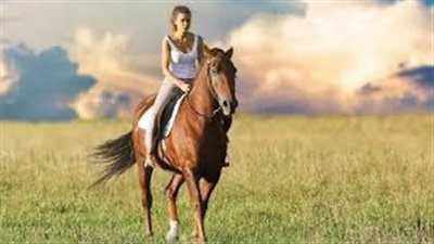 Fireworks in the equine world! – How to keep your horse safe this Bonfire Night