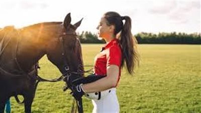 Sedatives and Sedation in Horses