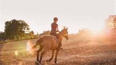 Rain Scald, Mud Fever and Greasy Heels – Wet Weather Care for Horses