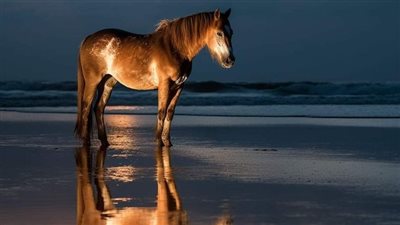 Develop a Stronger Riding Position