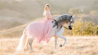 Horse Colic - Causes and Recovery