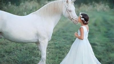 Equine Sports Medicine