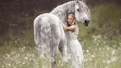 Feeding The Broodmare: Eating for Two
