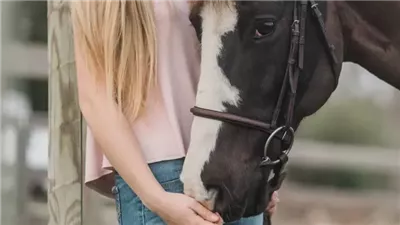 How to Train the Hard-to-Bridle Horse