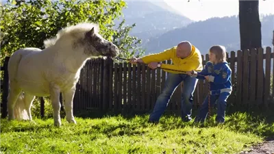 Why Horses Balk and What to Do About It