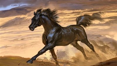 How To Make a Horse Gain Weight
