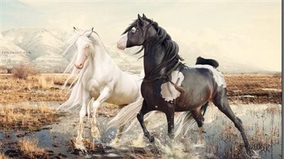 How to Catch a Hard-to-Catch Horse