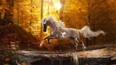 Why Your Horse Is Tossing Its Head