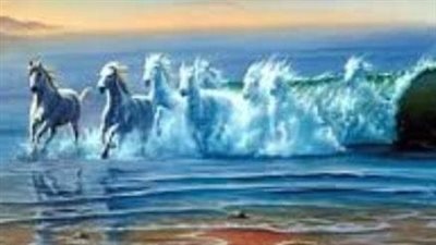 Should a Beginner Rider Buy a Stallion, Gelding, or Mare?