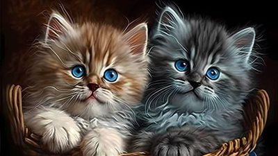 It's simple to teach your cat to toilet outside by following these tips.