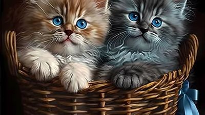 How to Stop Destructive Chewing in Cats