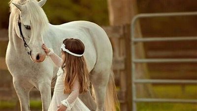 How to Clean and Care for Your Leather Horse Tack