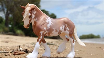 What To Do In Remote Emergencies with Horses