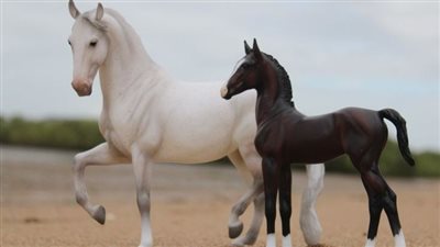 Becoming a Horseman_ What Does it Mean Today?