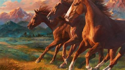 How to Prevent and Treat Mud Fever