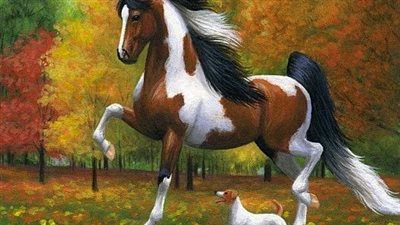 Dogs and Horses - Man’s Best Friends