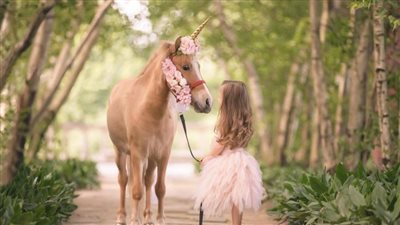 Keeping Children Safe While Handling Horses - the research may surprise you