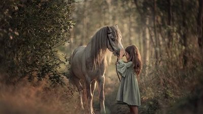 Therapeutic Riding Not Stressful For Horses
