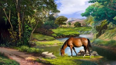 How to Safely Refeed the Malnourished Horse