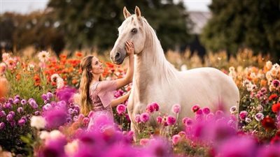 Feeding to the Horse’s Body Condition