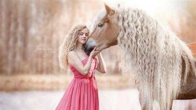 Key Factors for Feeding Horses in Winter