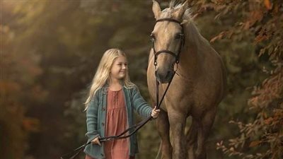 How to Budget Horse Expenses