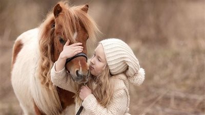 Solving Pony Problems