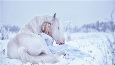 Embracing Equine Companionship: The Unbreakable Bond Between Horses and Humans