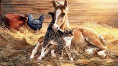 The Heartwarming Tale of Friendship: The Horse and the Cat