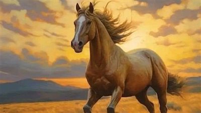 Tips for Hoof Cracks and Chips