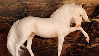 What’s Biting Your Horse?