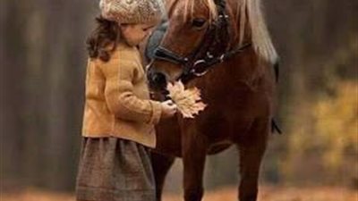 How to Make Horse Shows Fun Again