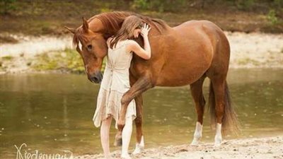 How to Recognize Critical Illness in Foals