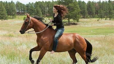 Biosecurity on the Horse Farm