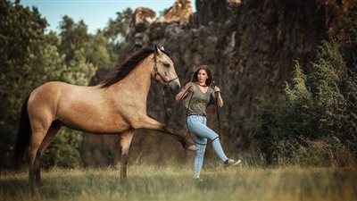 The Not-So-Scientific Horse Training Challenge_Personal Space
