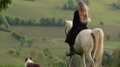 Craving Control in Equestrian Sport