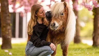 My Horse Husband