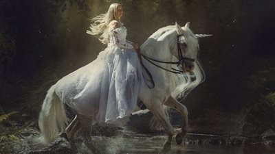 Equine Gastric Ulcer Syndrome